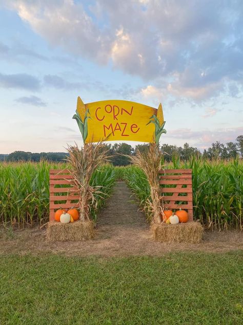 Corn Maze Entrance, Fall Fun Day Activities, Corn Maze Activities, Pumpkin Farm Ideas, Fall Festival Entrance, Corn Maze Ideas, Fall Fair Games, Autumn Festival Ideas, Corn Maze Aesthetic