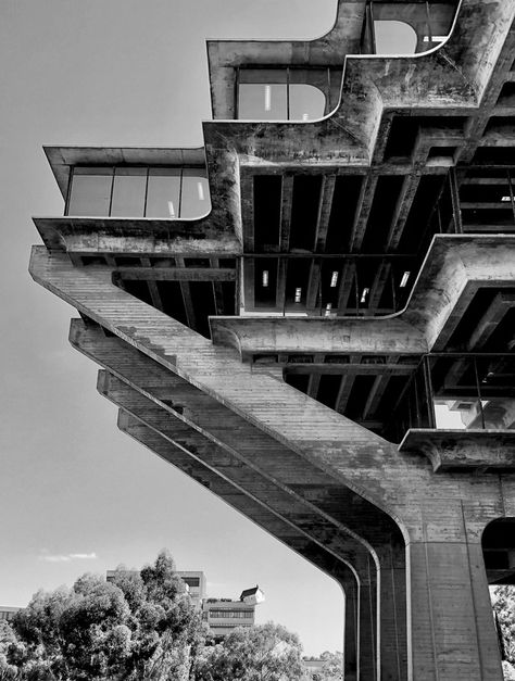 Geisel Library, Architecture Brutalism, Uc San Diego, Round Building, Brutalism Architecture, Concrete Buildings, Brutalist Buildings, Concrete Architecture, Panoramic Photography