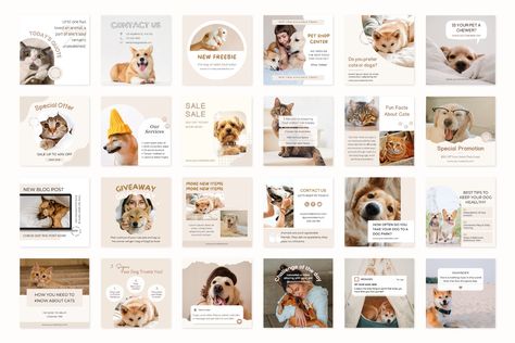 Pet Branding, Cat Instagram, Dog Salon, Dog Store, Animal Hospital, Small Business Owners, Happy Animals, Cat Rescue, Instagram Post Template