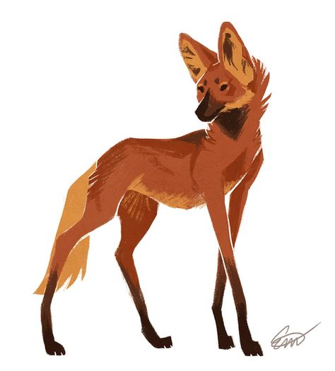 Maned Wolf, Got To Be, Red Fox, On Earth, I Decided, To Draw, Fox, Deviantart, Red