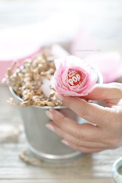 Starting to arrange the Lollipop Flower Bouquet. Full tutorial at livelaughrowe.com Lollipop Flower Bouquet, Lollipop Flower, Diy Birthday Crafts, Tootsie Pops, Lollipop Bouquet, Tootsie Pop, Holiday Favors, Quick And Easy Crafts, Christmas Decorations Garland