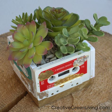 Old Cassette Tapes, Cassette Tape Crafts, Old Cassette, Recycled Planters, Wood Succulent Planter, Upcycled Planter, Succulent Planter Diy, Deco Originale, Diy Simple