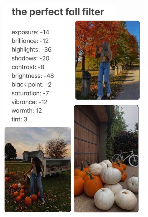 Fall Filter, Snapchat Photo, Vintage Photo Editing, Phone Photo Editing, Fotografi Iphone, Photo Editing Vsco, Learn Photo Editing, Shotting Photo, Photographie Portrait Inspiration