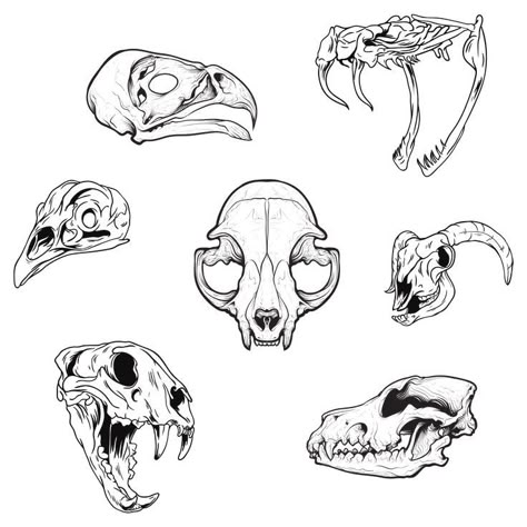 simple pack of animal skull line art Skulls Sketch, Animal Skull Tattoo, Animal Skull Drawing, Gotik Tattoo, Bone Drawing, Skull Animal, Bored Ideas, Simple Skull, Skull Sketch