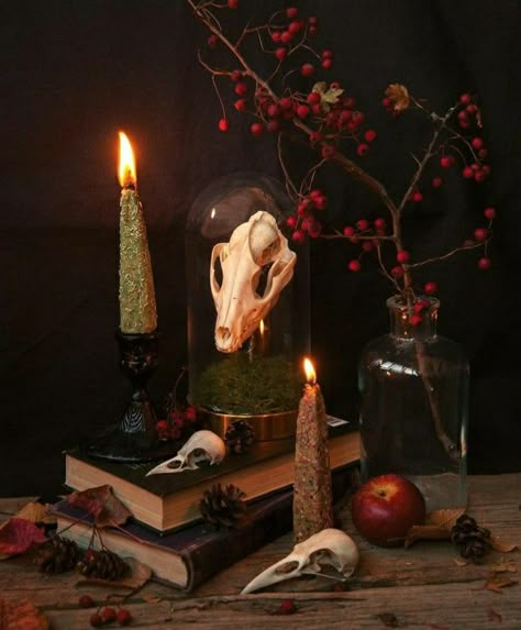 Creepmas Wallpaper, Gothic Christmas Aesthetic, Halloween Still Life, Dark Yule, Yule Traditions, Witchy Christmas, Pagan Christmas, Gothic Decor Bedroom, Still Life Inspiration