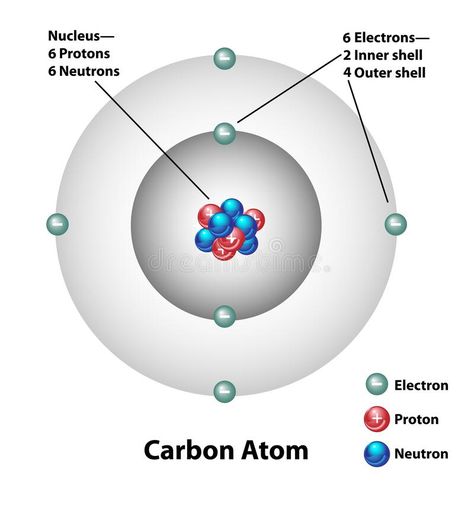 Carbon Atom Molecular Structure Labels. Molecular structure of a carbon atom. El #Sponsored , #ad, #advertisement, #Molecular, #Carbon, #atom, #Structure Carbon Atom Model, Atomic Structure Model, Shells Illustration, Atom Structure, Atom Model, Atomic Structure, 6th Grade Science, Molecular Structure, 6th Grade