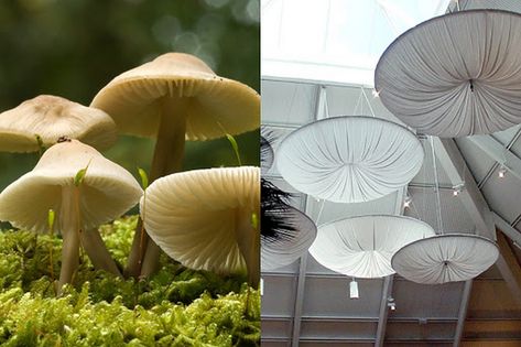 Friday October 13, Mid Century Modern Renovation, Biophilic Architecture, What Is Design, High Point Nc, Biophilic Design, Natural Patterns, Floral Interior, Art Science