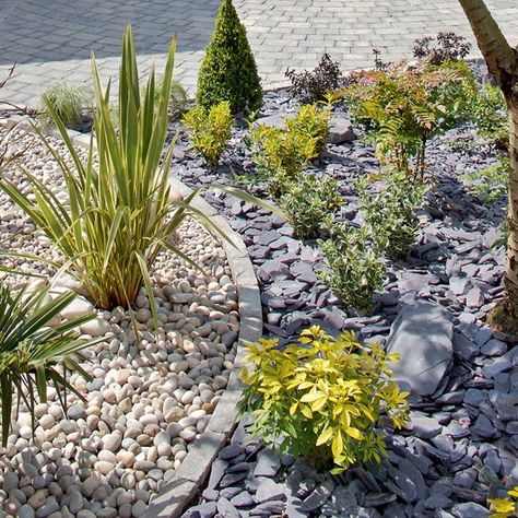 Atlantic Pebbles and Cobbles with Plum Slate Chippings and Rockery - Latest Member Projects - Landscape Juice Network Plum Slate, Rockery Garden, Moderne Have, Slate Garden, Pebble Garden, Small Front Gardens, Seaside Garden, Front Gardens, Front Garden Design