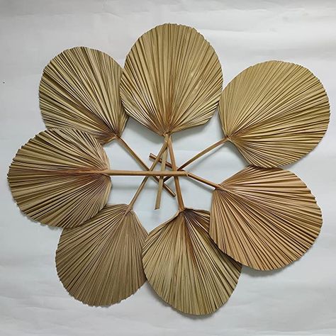 Amazon.com: Tropical Dried Palm Fronds, Natural Round Shape Palm Fans for Wedding Home Decor (7) : Home & Kitchen Fans For Wedding, Home Boho Decor, Boho Fall Wedding, Palm Wedding, Pampas Grass Bouquet, Wedding Home Decor, Home Boho, Wedding Fans, Branch Decor