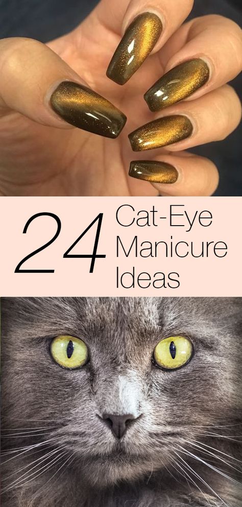 Tiger Eye Gel Nails, Cats Eye Gel Polish, Black And Gold Cats Eye Nails, Cats Eye Almond Nails, Tigers Eye Nails Design, Black Cat Eye Acrylic Nails, Tigers Eye Nails Polish, Cat Eye Shellac Nails, Cats Eye Fall Nails