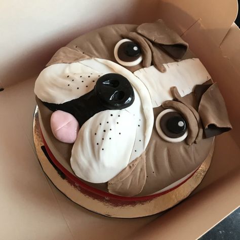 Bulldog Birthday, Bulldog Cake, Tooth Cake, Dog Cupcakes, The Great British Bake Off, Studded Collar, Chocolate Fudge Cake, British Bake Off, Great British Bake Off