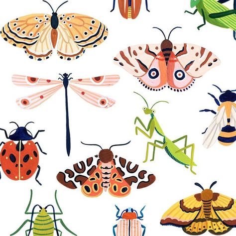 Amber Davenport в Instagram: «I’ve been working on a new bugs poster these past few days, here’s a small section! 🕷 🐛 🐞 🍃» Bugs Poster, Amber Davenport, Pix Art, Xmas Holidays, Christmas Designs, May 11, Surface Pattern Design, Surface Pattern, Kids Design