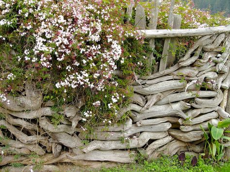 driftwood fence - Google Search Driftwood Landscaping, Driftwood Landscaping Ideas, Driftwood Fence, Natural Fencing, Natural Fences, Rustic Fences, Rustic Garden Fence, Mountain Garden, Land Ideas