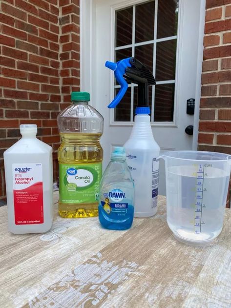 The Best DIY Homemade Bug Spray Recipe | Hometalk Bug Killer Homemade, Stink Bug Spray, Spray For Spiders, Diy Bug Repellent Spray, Stink Bug Repellent, Homemade Bug Spray Recipe, Natural Bug Killer, Garden Bug Spray, Garden Pests Identification