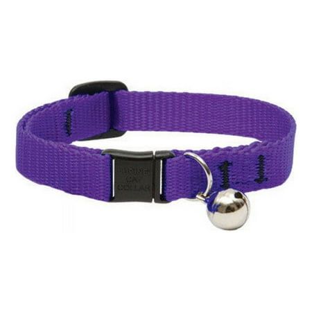 Lupine Pet Basic Solids Purple Purple Nylon Cat Collar Purple Dog, Purple Dog Collar, Kitten Collars, Purple Cat, Flea And Tick, Small Cat, Cat Collar, Pitbull Dog, Buy A Cat