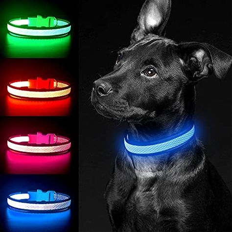 Light up Dog Collar, USB Rechargeable LED Dog Collar, Adjustable Flashing Dog Collar, Reflective Dog Collar Safety Glowing for Small, Medium, Large Dogs (Blue, Medium) : Amazon.co.uk: Pet Supplies Games For Puppies, Aesthetic Dog, Dog Collar With Name, Dog Toothbrush, Led Dog Collar, Up Dog, Rechargeable Light, Personalized Dog Collars, Dog Vest