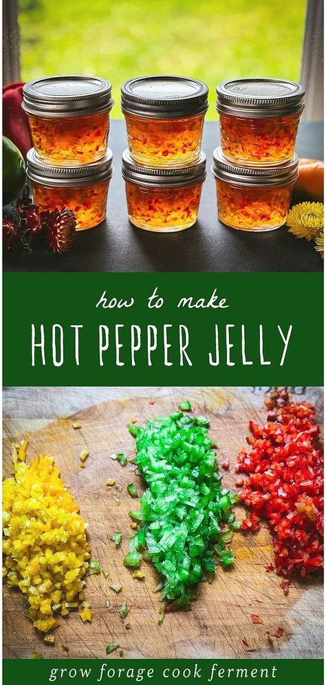 Red Hot Chili Peppers Recipes, Red Chili Peppers Recipes, Recipes With Red Chili Peppers, What To Do With Red Chili Peppers, What To Do With Chili Peppers, Hot Chili Peppers, Canning Chili Peppers, What To Do With Hot Peppers From Garden, Canning Hot Peppers Recipes