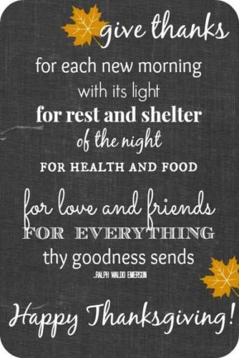 30 Best Thanksgiving Quotes and Images - Home Inspiration and Ideas | DIY Crafts | Quotes | Party Ideas Thanksgiving Blessing Quotes, Religious Thanksgiving Quotes, Thanksgiving Quotes Christian, Thanksgiving Quotes Inspirational, Thanksgiving Poems, Happy Thanksgiving Pictures, Thanksgiving Quotes Funny, Happy Thanksgiving Images, Thanksgiving Messages