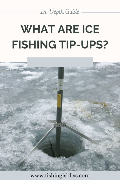 Ice Fishing Tip Ups, Ice Fishing Tips, Tip Ups, Ice Fishing, Fishing Tips, Fishing Gear, Ups, It Works, Fishing