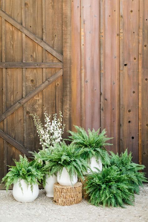 We love how they incorporated ferns and potted plants as wedding decor! Eco-friendly and budget-savvy way to create a fresh centerpiece. #centerpiecesdiy #pottedplants #plantlady Fern Ceremony Decor, Hanging Ferns Wedding, Modern Outdoor Wedding Decor, Forest Arrangements, Woods Themed Wedding, Fern Centerpiece Wedding, Wedding Plants Decor, Fern Wedding Decor, Potted Plant Centerpieces