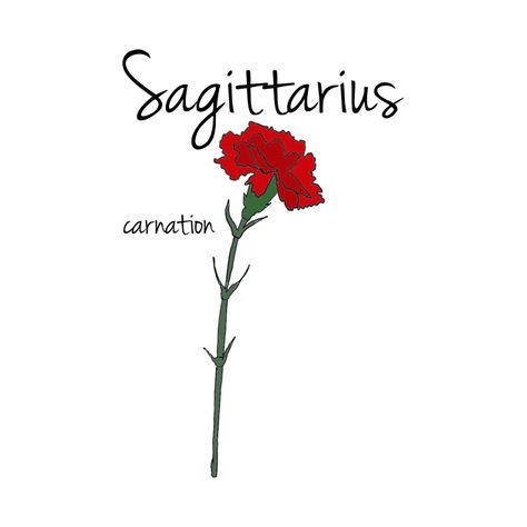 Sagittarius Flower Birth Month, Sagittarius Flower, Sagittarius Tattoo, Sagittarius Quotes, Sagittarius Zodiac, Hand Tattoo, Zodiac Sagittarius, Tattoo Inspo, Types Of Art