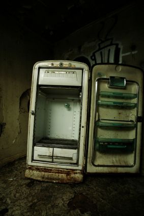 Old Fridge, Empty Fridge, Spiders And Snakes, James Harrison, Old Refrigerator, Hvac Technician, Ozone Layer, Retro Gadgets, Old Room