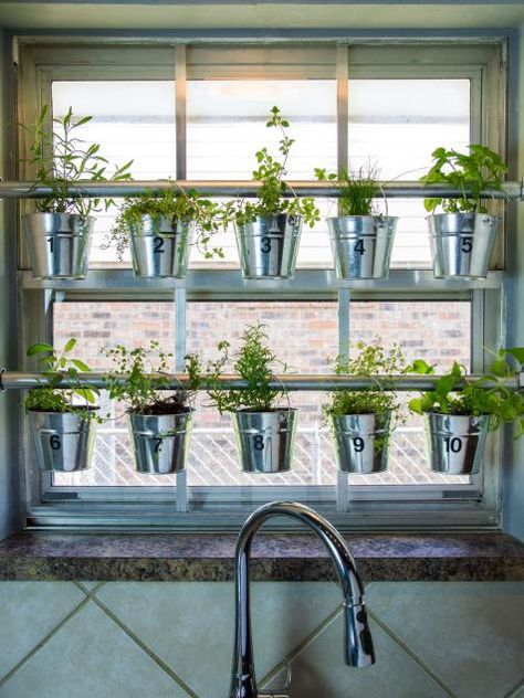 Use muffin tins for bathroom storage, plus more surprising ways to repurpose old kitchen stuff. Hanging Herb Gardens, Indoor Garden Apartment, Vertical Herb Gardens, Window Herb Garden, Indoor Herbs, Growing Herbs Indoors, Hanging Herb Garden, Hanging Herbs, Herb Garden In Kitchen