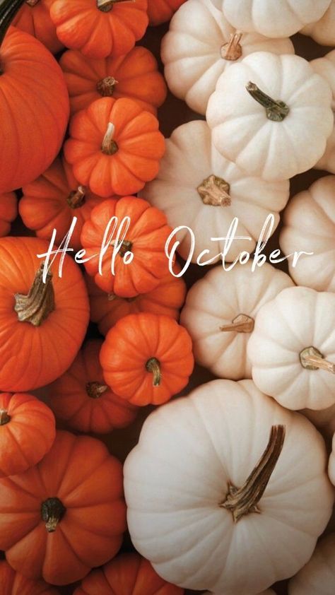 Work Wallpaper, Cell Wallpaper, Welcome October, Gnome Wallpaper, Autumn Wallpapers, Fall Backgrounds Iphone, Autumn Phone Wallpaper, Fall Backgrounds, Month Quotes