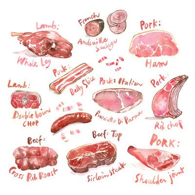 How To Draw Raw Meat, Meat Drawing Reference, Raw Meat Drawing, How To Draw Meat, Meat Illustrations, Meat Reference, Meat Painting, Meat Chart, Meat Drawing