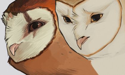 Guardians Of Ga'hoole, Legend Of The Guardians, 카드 디자인, The Guardians, Animal Sketches, Owl Art, Arte Fantasy, Cute Animal Drawings, Art Inspiration Drawing