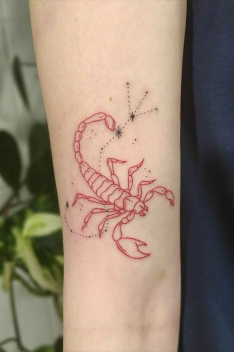 Scorpio Sign Tattoos, Scorpio Zodiac Tattoos, Polish Tattoos, Butterfly Tattoos On Arm, Horoscope Tattoos, Scorpio Tattoo, Tattoos Mandala, Taurus Tattoos, Wroclaw Poland