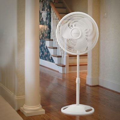 #Bustle's list of the best standing fans on the market features the Lasko 16″ Oscillating Stand Fan #laskofans #keepingcool Pedestal Fans, Standing Fans, Stand Fan, Portable Fans, Pedestal Fan, Pedestal Stand, Tower Fan, Desk Fan, Types Of Rooms