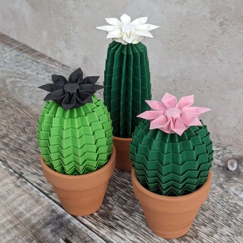 Mini and tall/slim paper cacti are ready for you at OrigamiBlooms.com 🌵 All the other cactus sizes and colourways will be there asap. Also - I'm happy to report that THE WEBSITE WORKS!! Got my first order yesterday 😁✌️💚🥳🎉 Want a handmade cactus? Link in bio 🤳 . . #Origamiblooms #cactuslovers #babycactus #origamicactus #welovecacti #cactilove #paperplants Origami Cactus, Large Origami, Mini Origami, Cactus Collection, Paper Cactus, Baby Cactus, Paper Succulents, Flowering Cactus, Faux Cactus