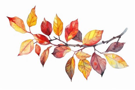 Autumn watercolor leaves branch | free image by rawpixel.com / Fluke Autumn Leaves Watercolor, Autumn Leaves Art, Autumn Watercolor, Leaves Watercolor, Leaves Art, Watercolour Flowers, Fall Watercolor, Watercolor Leaves, Flower Plant