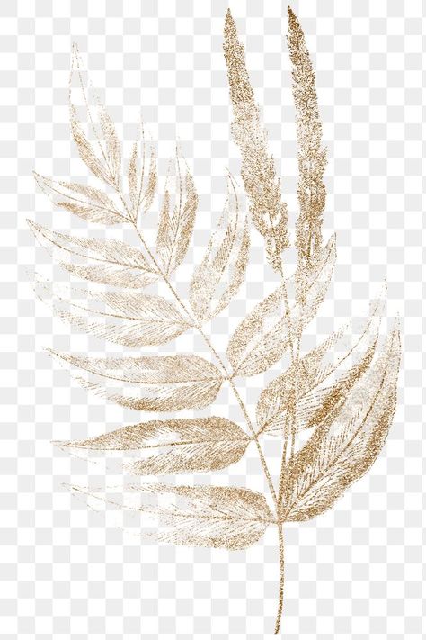 Leaf Png, Art Coquillage, Idee Cricut, Png Elements, Flower Graphic Design, Png Stickers, Wedding Logo Design, Fern Leaves, Golden Design