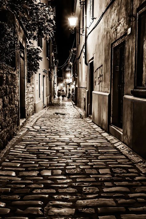 Victorian Photography, Modern Art Canvas Painting, Travel Through Europe, New Orleans Art, Sepia Photography, Dark Street, Draw People, Dreamy Artwork, Black And White Picture Wall