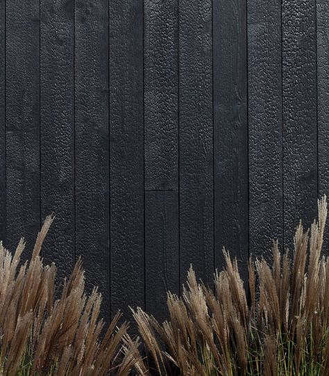 adam kane architects designs asymmetrical timber cabin in rural victoria Timber Cabin, Cedar Cladding, Larch Wood, Charred Wood, Sugi Ban, Shou Sugi Ban, Wood Cladding, Timber Cladding, Exterior Cladding