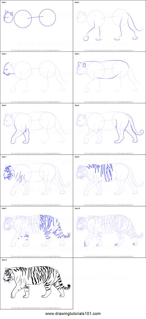 How to Draw a Siberian Tiger printable step by step drawing sheet : DrawingTutorials101.com How To Paint A Tiger Step By Step, Siberian Tiger Drawing, How To Draw A Tiger Step By Step, How To Draw A Tiger, Tiger Drawing Tutorial, How To Draw Tiger, Easy Tiger Drawing, Tiger Printable, Animal Sketches Easy