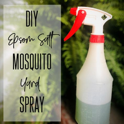 Epsom Salt Mosquito Spray Epsom Salt Diy, Natural Mosquito Spray, Homemade Mosquito Spray, Mosquito Yard Spray, Diy Bug Repellent, Mosquito Repellent Candle, Mosquito Repellent Homemade, Mosquito Repellent Spray, Diy Mosquito Repellent