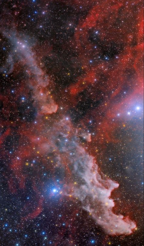 Galaxy Pics, Hubble Space Telescope Pictures, Horsehead Nebula, Space Art Gallery, Telescope Images, Twitter Artist, James Webb Space Telescope, Galaxy Pictures, Star Gazing