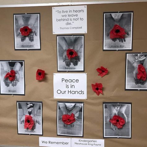 Anzac Day Crafts For Preschoolers, Anzac Day Activities For Kindergarten, Remembrance Day Decorating Ideas, Kindergarten Poppy Art, Anzac Day Art Kindergarten, Peace Crafts Preschool, Anzac Day Activities For Kids, Poppy Crafts For Kids Veterans Day, Remembrance Day Art For Kindergarten