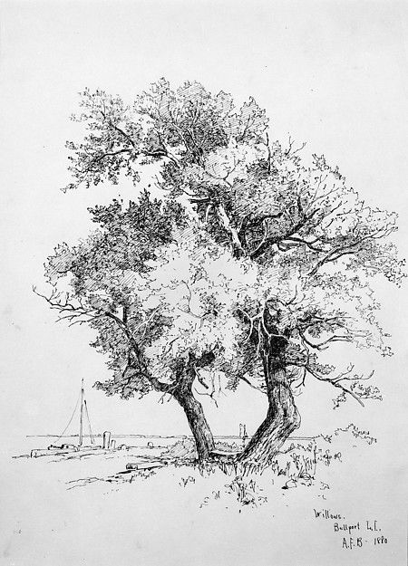 Tree Pencil Sketch, Nature Drawings, Island Poster, Landscape Pencil Drawings, Tree Drawings Pencil, Fineliner Art, Nature Sketch, Tree Sketches, Peanuts Cartoon