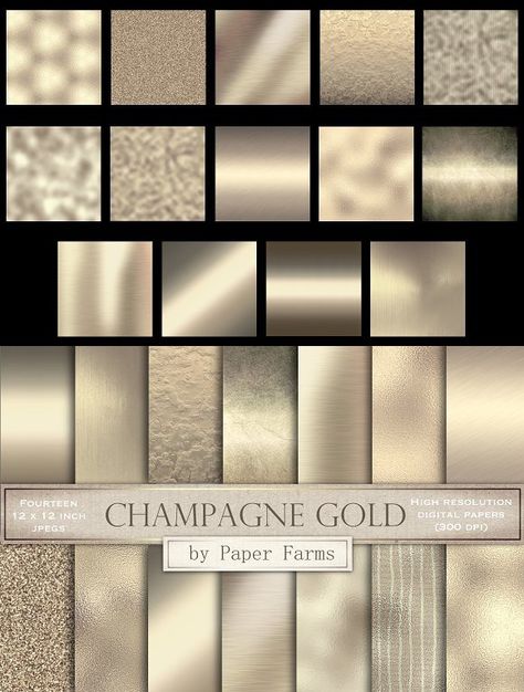 Champagne gold textures Champagne Gold Decor, Color Palette Champagne, Gold Color Aesthetic, Gradient Photoshop, Gold Signage, Champagne Color Palette, Champagne Gold Color, Monochromatic Color Palette, Bedroom Colour Palette