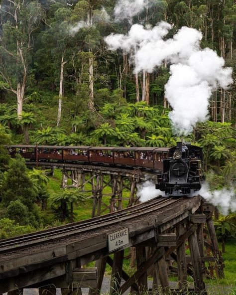 Train Australia, Melbourne Australia City, Puffing Billy, Old Steam Train, Scenic Train Rides, Steam Railway, The Picnic, Emerald Lake, Yarra Valley