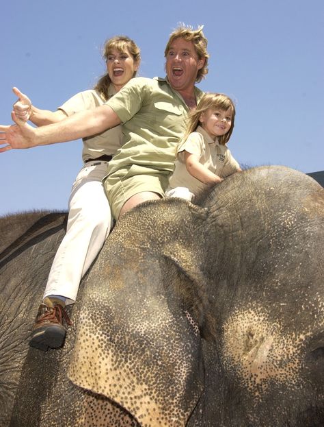 Image Terri Irwin, Irwin Family, Robert Irwin, Crocodile Hunter, Bindi Irwin, Steve Irwin, Australia Animals, Short Hairdos, Do Cute