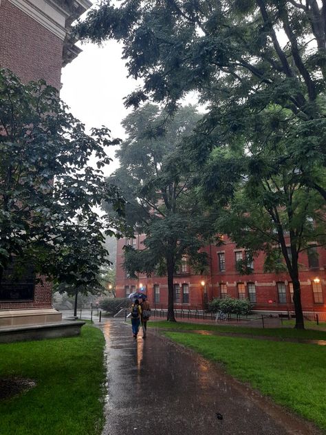 Harvard Fall Aesthetic, University Romance Aesthetic, Old Money University Aesthetic, Harvard Summer School, Ivy League College Aesthetic, Boston Student Aesthetic, Ivy League School Aesthetic, Harvard Manifestation, Harvard Student Aesthetic