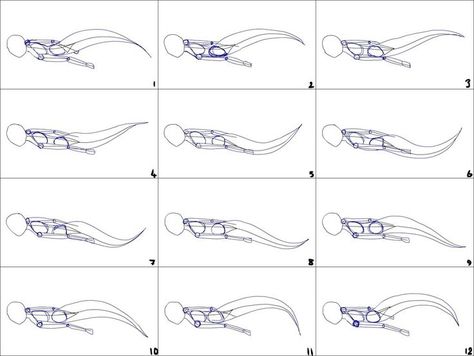 swimming mermaid animation cycle | animation cycles | Pinterest ... Mermaid Animation Frame By Frame, Frame By Frame Animation Reference, Mermaid Animation, Tail Animation, Animation Cycle, Swimming Mermaid, Animation Drawing Sketches, Principles Of Animation, Learn Animation