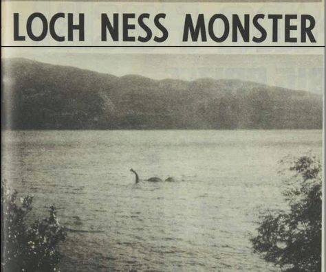 I am currently working on a larger article, but this came in and had " must blog " written all over it. It is a picture taken of something ... Cryptidcore Aesthetic, Paranormal Aesthetic, Loch Ness Monster, Paranormal Investigation, Loch Ness, Ghost Hunting, Urban Legends, + Core + Aesthetic, X Files