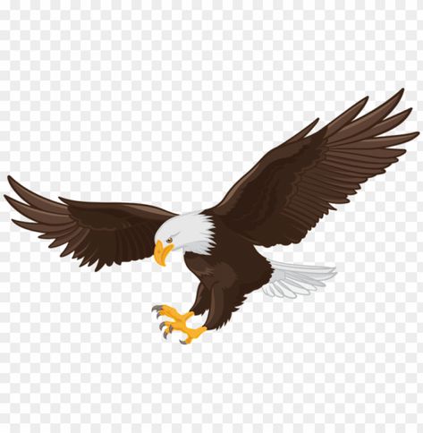 Baaz Png Photo, Panchi Photo Png, King Png Photo, White Line Art Emoji Png, Emoji White Line Png, Baaz Png, Eagle Png Logo, Background Png Images For Editing, Dosti Logo Png