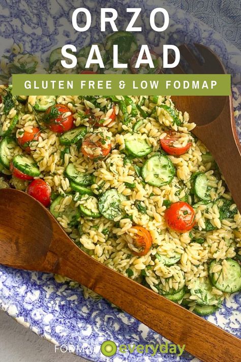 Low FODMAP Orzo Salad might be the perfect summer side-dish. Orzo is rice shaped pasta, typically made from wheat, but in this recipe we are using a low FODMAP gluten-free version. #dairyfree #glutenfree #vegan #vegetarian #easyrecipe #lowfodmapdiet#fodmap #lowfodmap #fodmapeveryday #ibs #ibsdiet #cleaneating #fodmapsafe Essen, Low Fod Map Vegan Recipes, Low Fodmap Lunch Box Ideas, Low Fodmap Potluck Recipes, Vegetarian Fodmap Recipes, Low Fodmap Pescatarian Recipes, Low Fodmap Macaroni Salad, Fodmap Lunch Ideas Easy, Low Fodmap Dinner Vegetarian